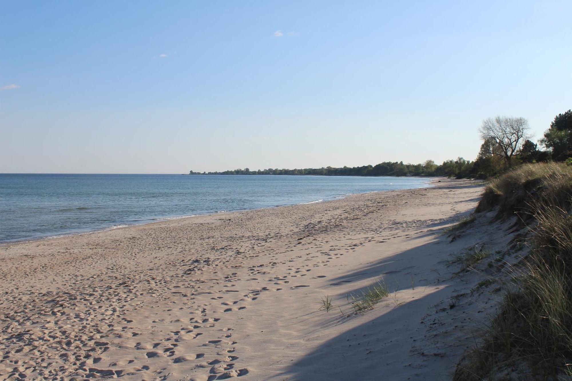 Cozy City Stay Steps From The Beach & Transit Abbekås Eksteriør bilde